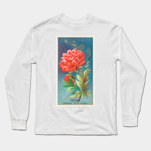 Peony (Paeonia Officinatis) Long Sleeve T-Shirt by WAITE-SMITH VINTAGE ART